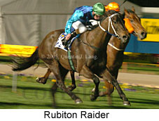 Rubiton Raider (17134 bytes)