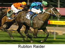 Rubiton Raider (17134 bytes)