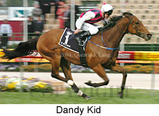 Dandy Kid (18294 bytes)
