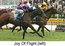 Joy Of Flight (18294 bytes)