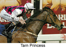 Tarn Princess (16109 bytes)
