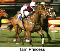Tarn Princess (15491 bytes)