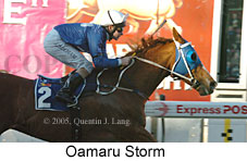 Oamaru Storm (18294 bytes)