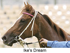 Ike's Dream (12542 bytes)