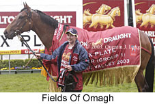 Fields Of Omagh (17034 bytes)