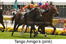 Tango Amigo's (18294 bytes)