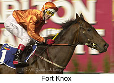 Fort Knox (15136 bytes)