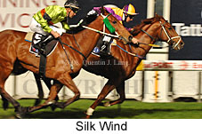 Silk Wind (17134 bytes)