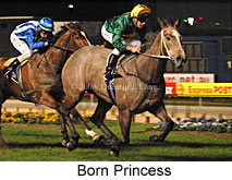Born Princess (17134 bytes)