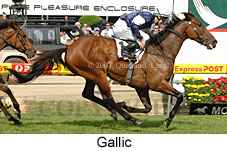Gallic (18294 bytes)