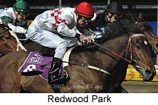 Redwood Park (17134 bytes)