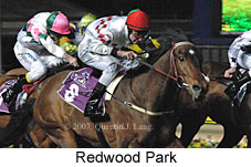 Redwood Park (17134 bytes)