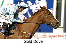 Gold Dove (17134 bytes)