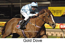 Gold Dove (17134 bytes)