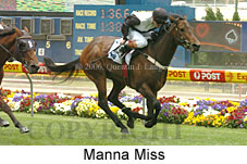 Manna Miss (18294 bytes)