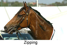 Zipping (18294 bytes)