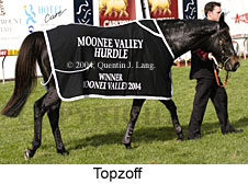 Topzoff (17465 bytes)