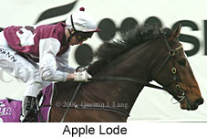Apple Lode (14872 bytes)