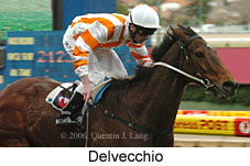 Delvecchio (14872 bytes)