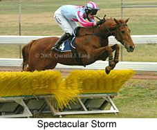 Spectacular Storm (14872 bytes)