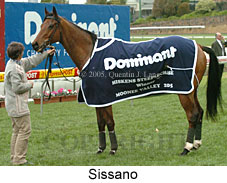 Sissano (15465 bytes)