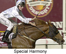 Special Harmony (14955 bytes)