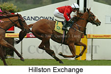 Hillston Exchange (14872 bytes)