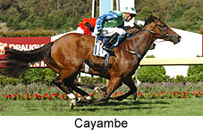 Cayambe (11302 bytes)