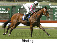 Binding (18507 bytes)