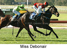 Miss Debonair (14872 bytes)