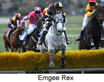 Emgee Rex (13468 bytes)