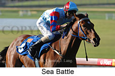 Sea Battle (14872 bytes)