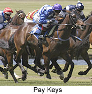 Pay Keys (16374 bytes)