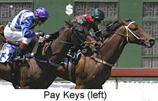 Pay Keys (13747 bytes)