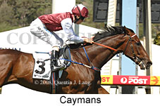 Caymans (16302 bytes)