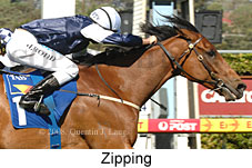 Zipping (17555 bytes)