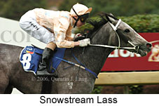 Snowstream Lass (14872 bytes)