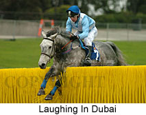 Laughing In Dubai (14872 bytes)