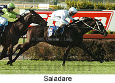 Saladare (14872 bytes)