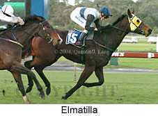 Elmatilla (18237 bytes)