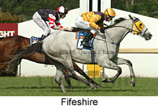 Fifeshire (18507 bytes)