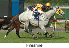 Fifeshire (18507 bytes)