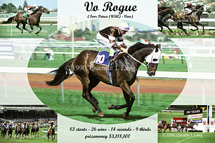 Vo Rogue Career Commemorative Poster Print (52,432 bytes)