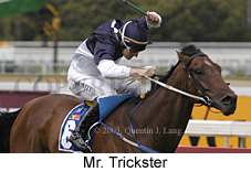 Mr. Trickster (20525 bytes)