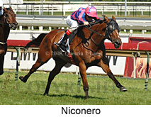 Niconero (14872 bytes)