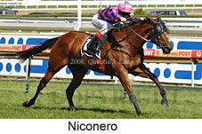 Niconero (14872 bytes)