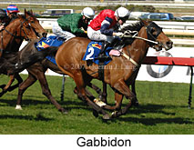 Gabbidon (14772 bytes)