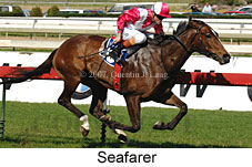 Seafarer (14772 bytes)