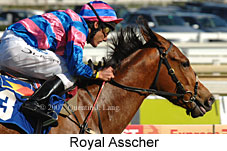 Royal Asscher (14772 bytes)