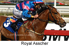 Royal Asscher (14772 bytes)